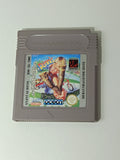 Dennis Game Boy Spiel - Retro Plattform-Action | RetroJL
