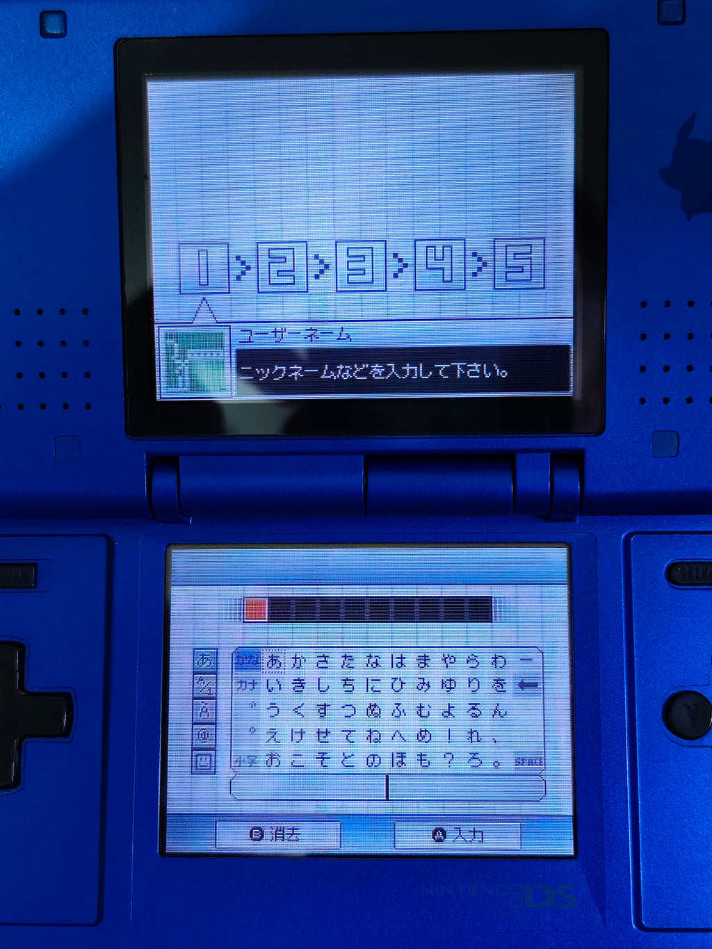 Nintendo DS Konsole - PokéPark Edition - Extrem Selten