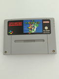 Super Mario World