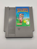 NES Open