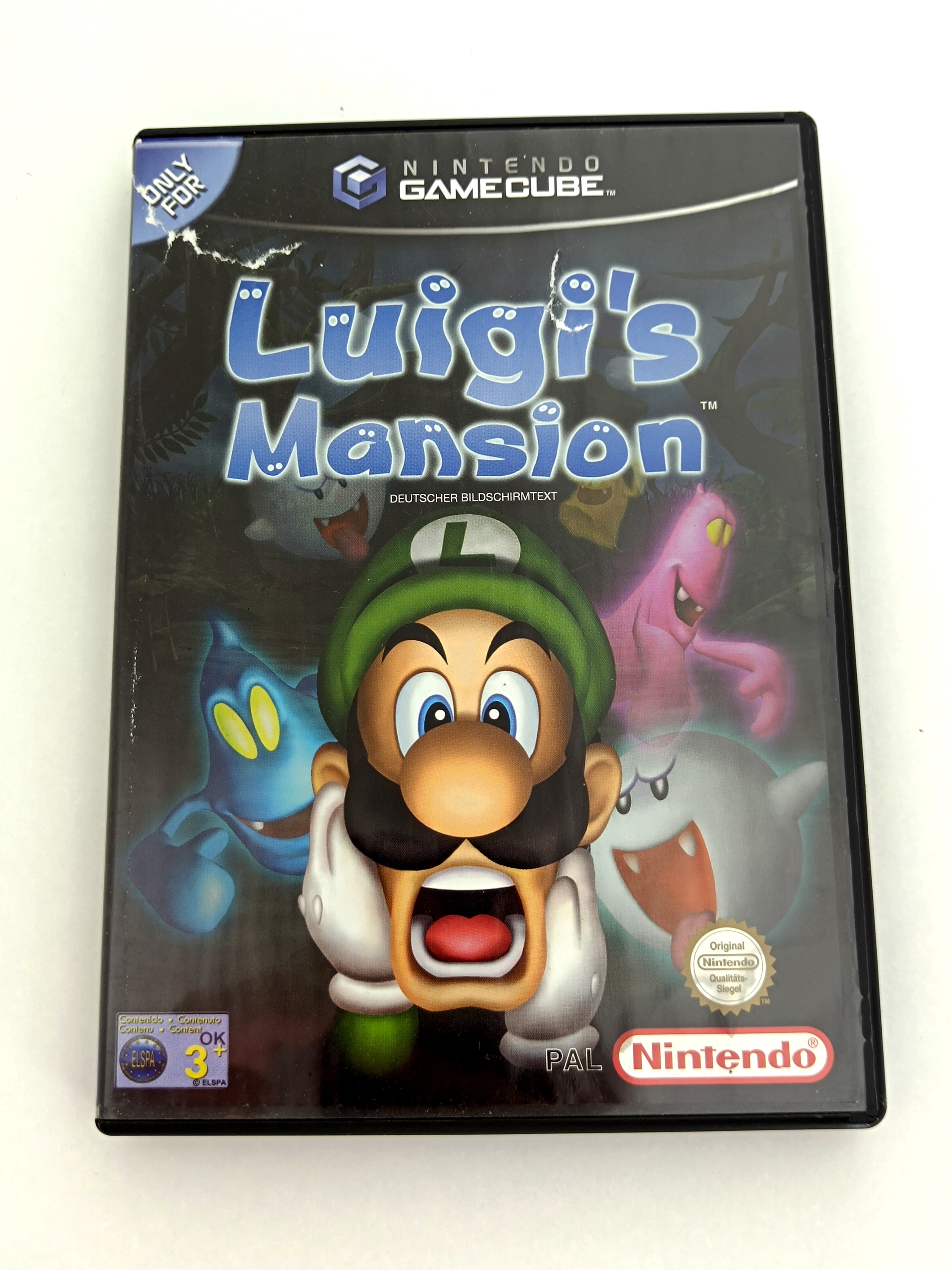 Luigis Mansion