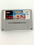 The Flintstones - The Treasure of Sierra Mudrock